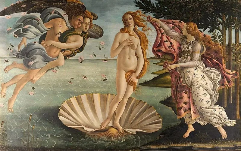 Discover Beauty