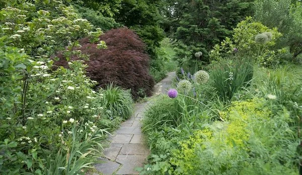 A path through a garden