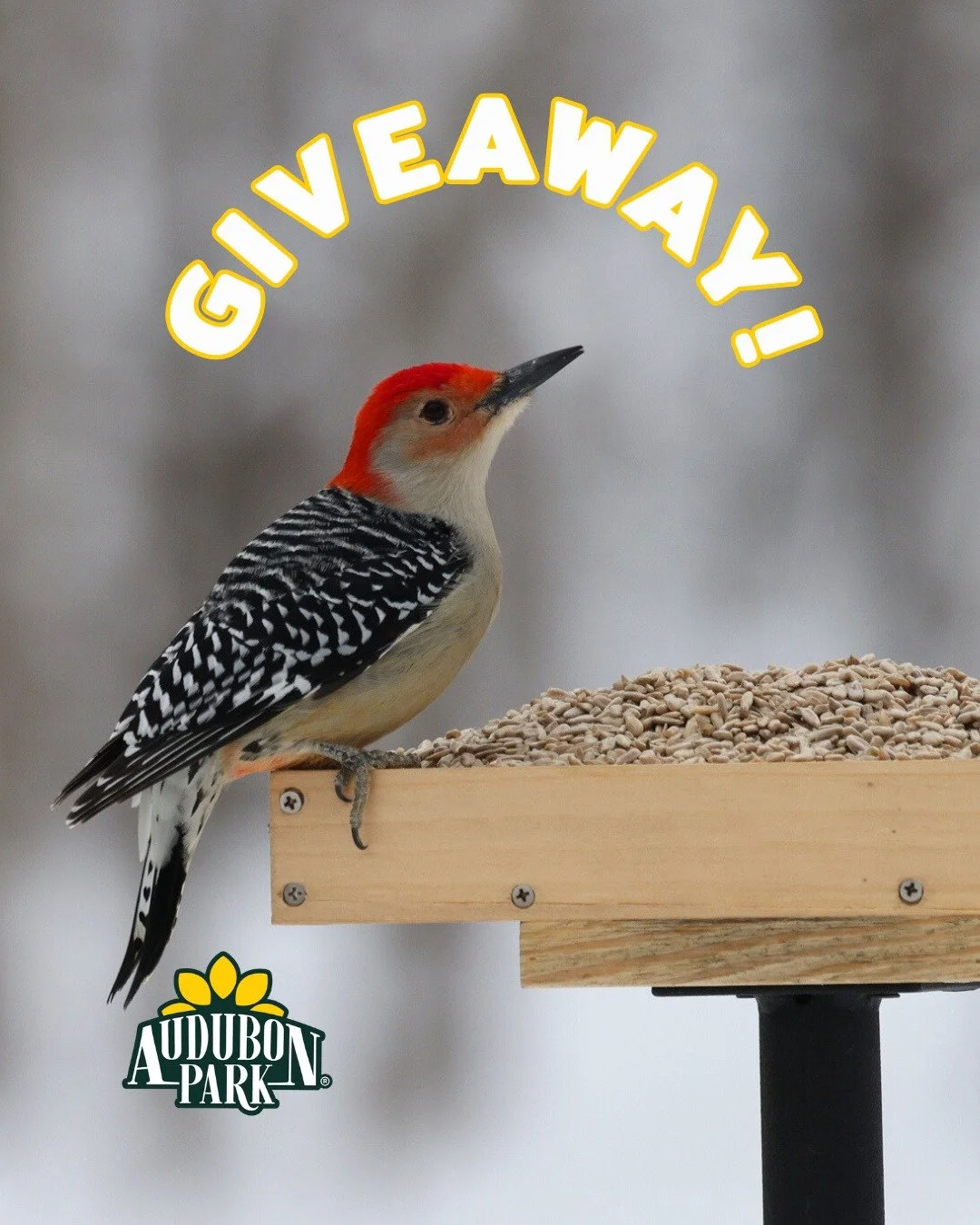 ✨ The celebration isn&rsquo;t over&mdash;it's week three of our National Bird Feeding Month GIVEAWAY! 🎉 Looking to turn your backyard into a winter hotspot for hungry birds? Enter for a chance to win an Audubon Park Winter Bird Feeding Kit, featurin