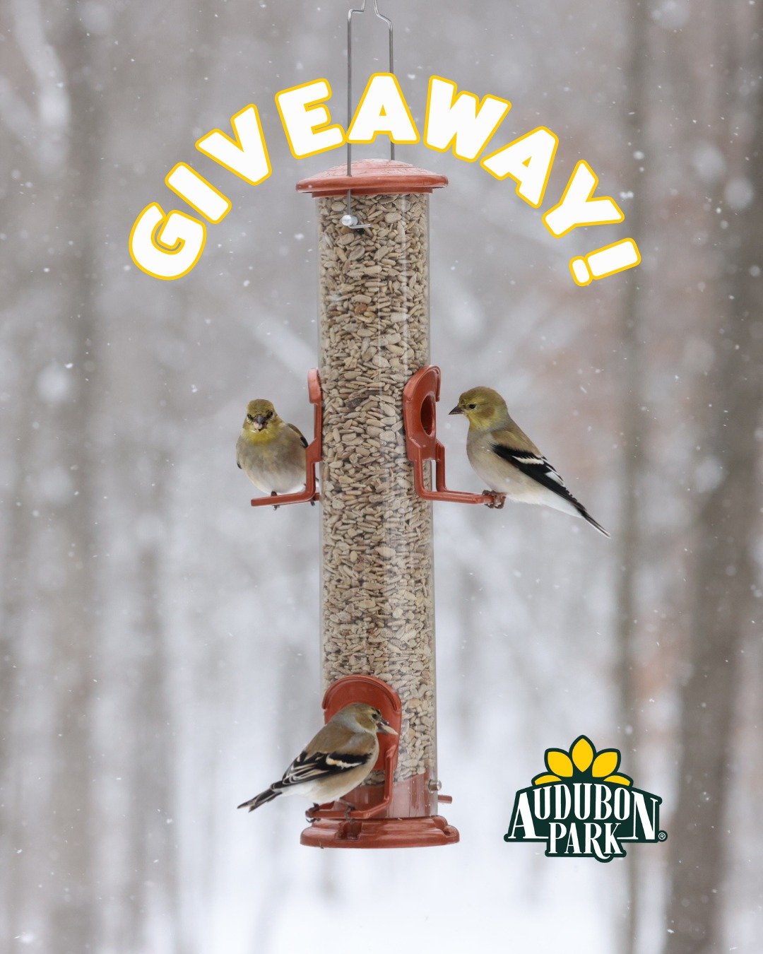 ✨ It&rsquo;s the FINAL week of our National Bird Feeding Month GIVEAWAY! 🎉 Don&rsquo;t miss your last chance to turn your backyard into a winter hotspot for hungry birds. Enter now for a chance to win an Audubon Park Winter Bird Feeding Kit&mdash;co