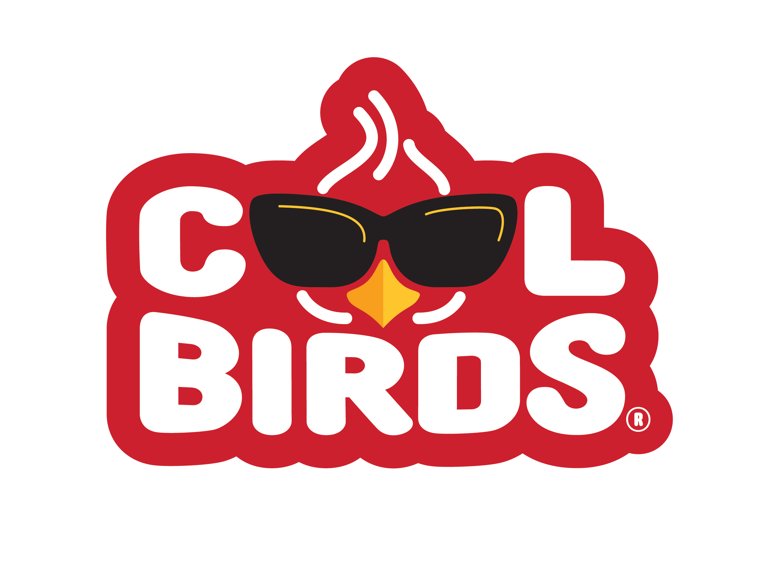 Logo for Cool Birds featuring a stylized red bird with black sunglasses and a yellow beak, with white text spelling "Cool Birds".