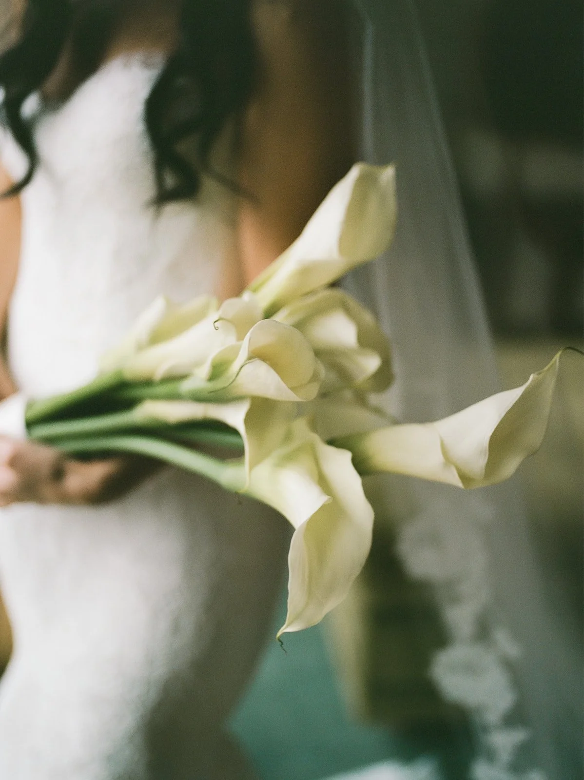 DIA-Detroit-film-wedding-photographer-232_websize 2.JPG
