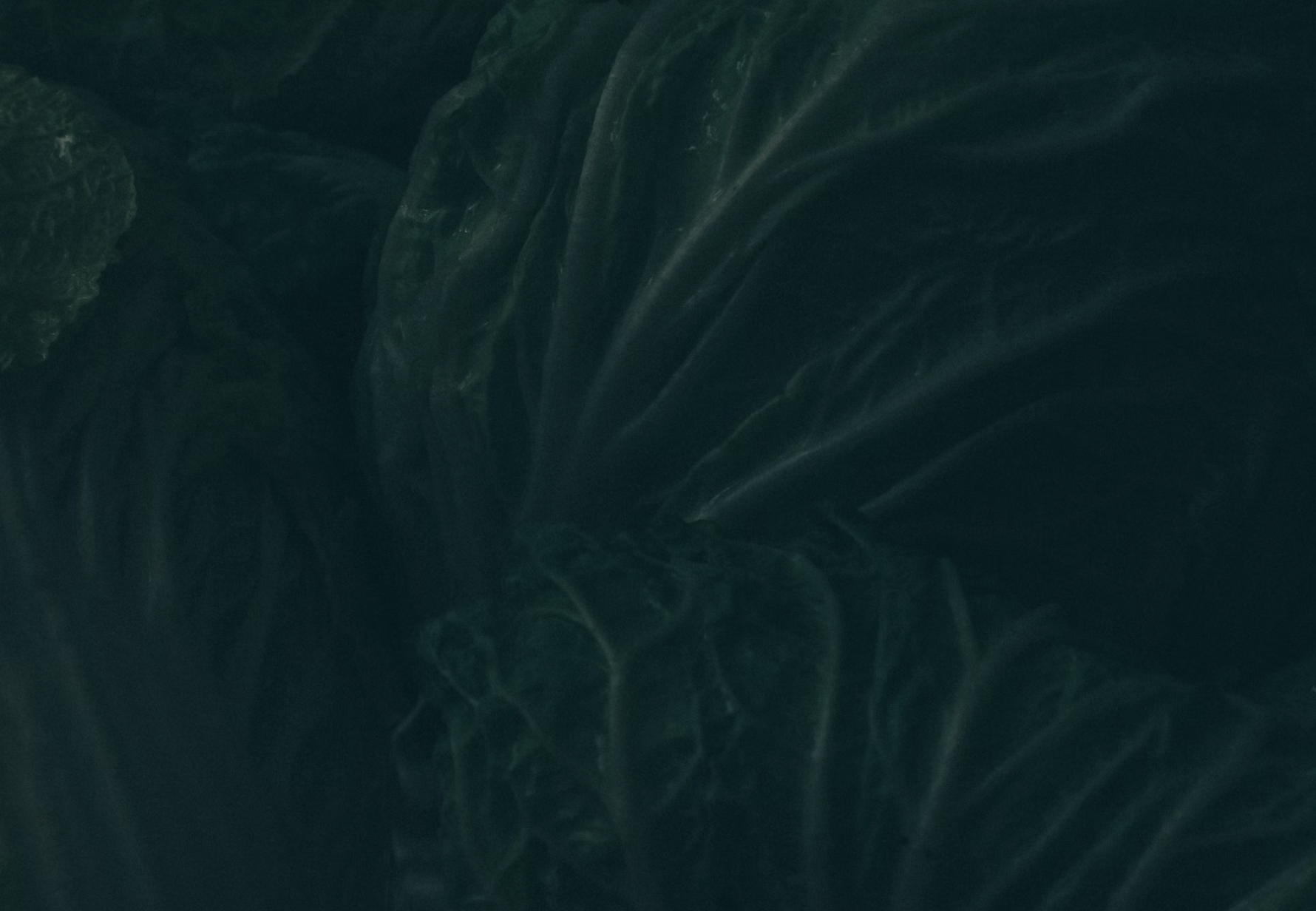 Rethinking Integration in Psychedelic Therapy