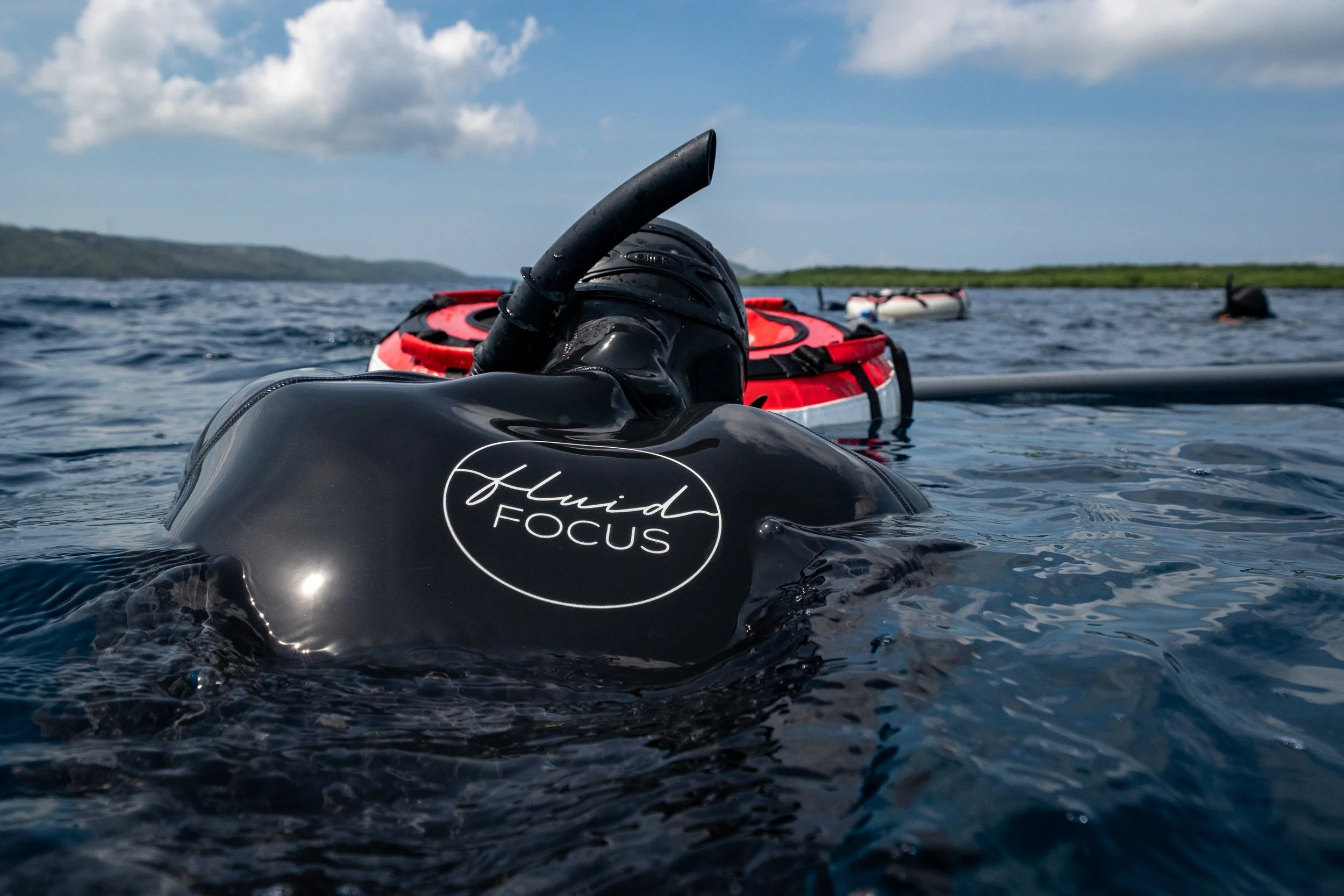 The Mammalian Dive Reflex: What Cold Water Does to Your Nervous System
