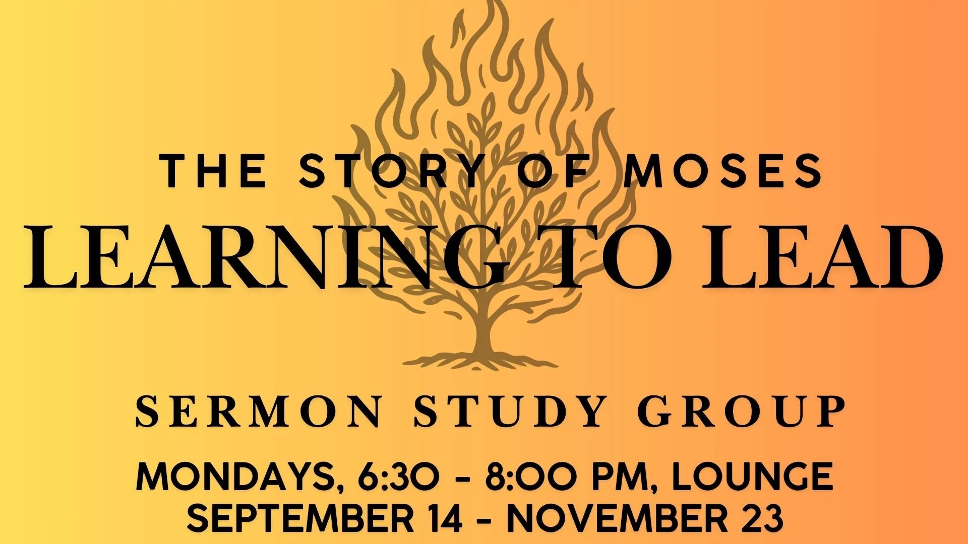 Moses Learning to Lead study group.jpg