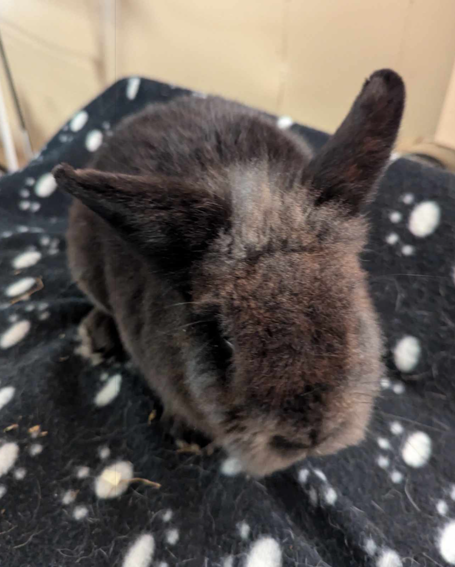 Capture d’écran 2024-09-03 155508.png