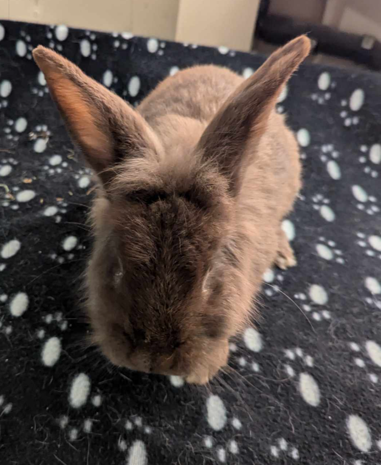 Capture d’écran 2024-09-03 155523.png