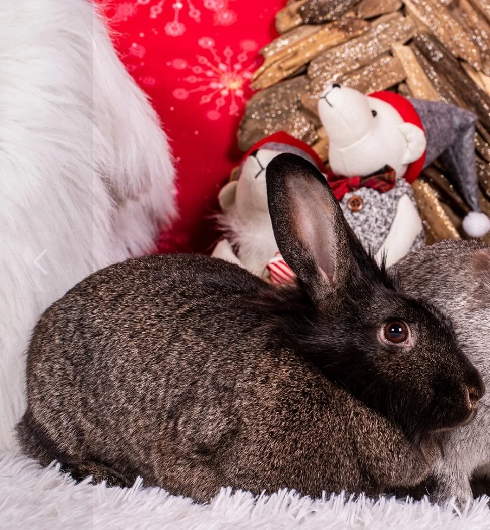 Nicole et Simone.jpg