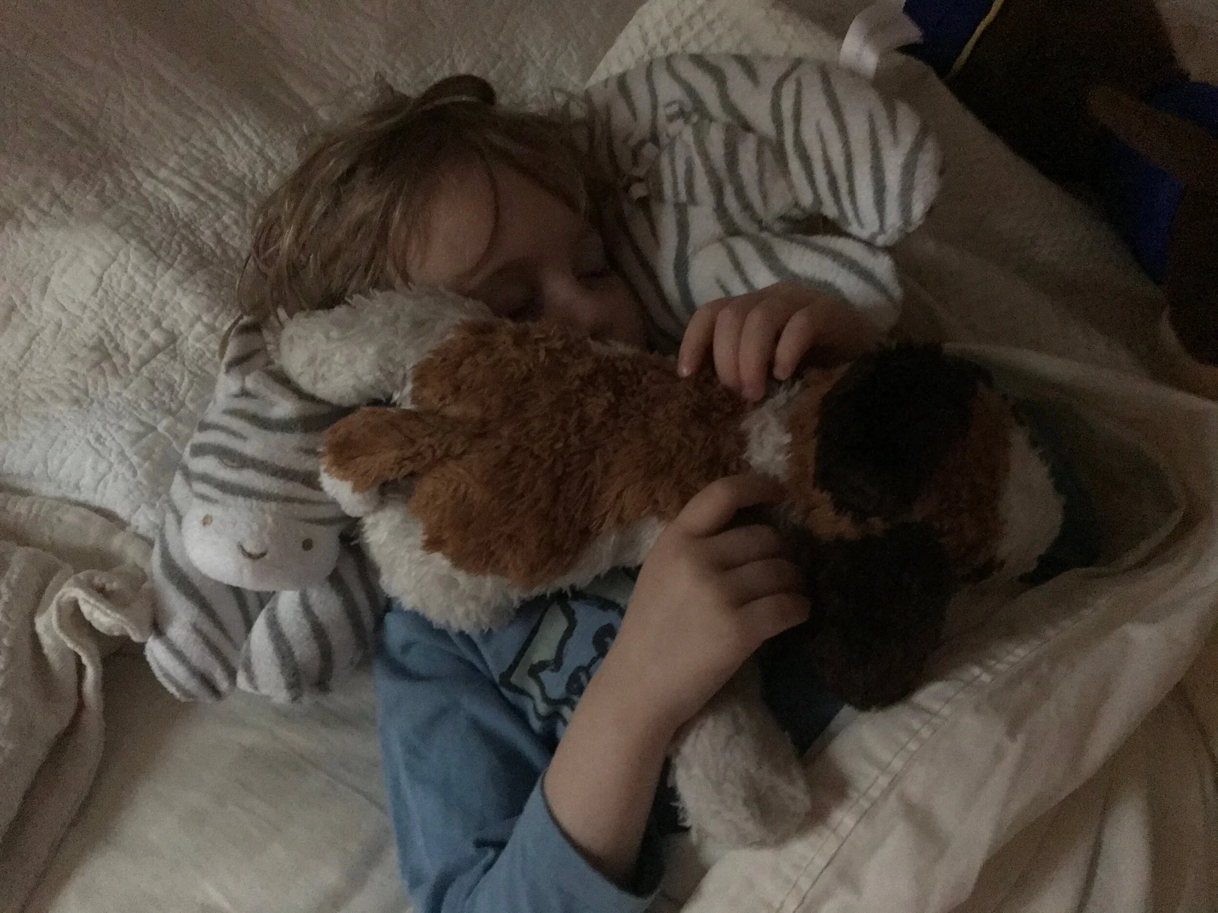 Why Little Dipper needs a nap