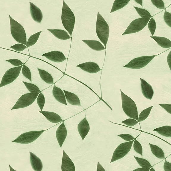 Nandina gr tonal 10.4 memo sm.png