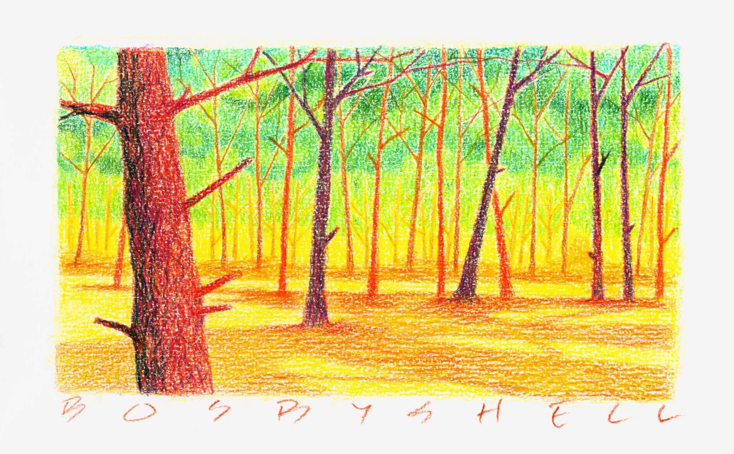 Sketching Hike on Forney Creek Trail