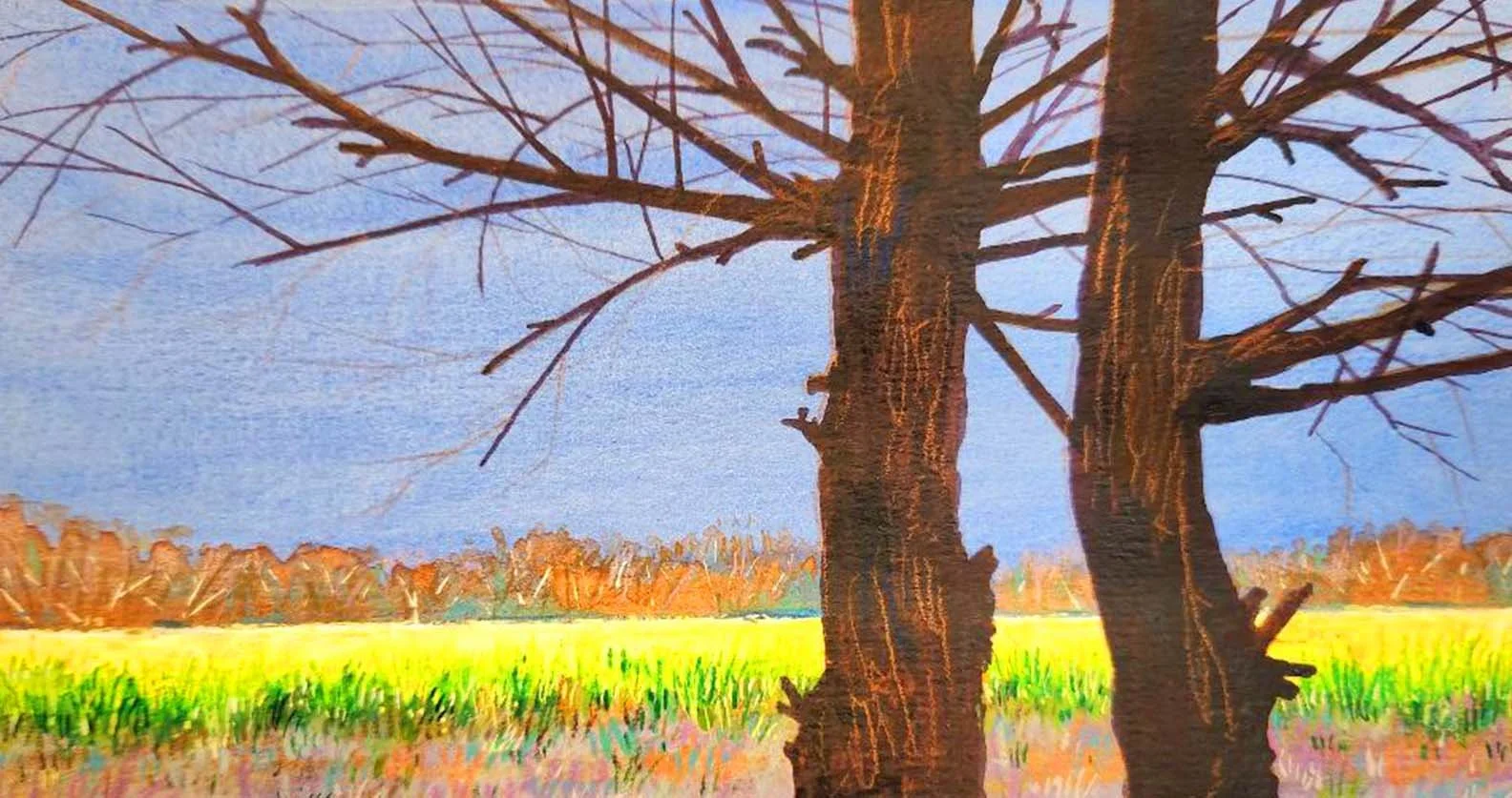 Sketch & Hike the Beautiful Eastover Ridge Preserve