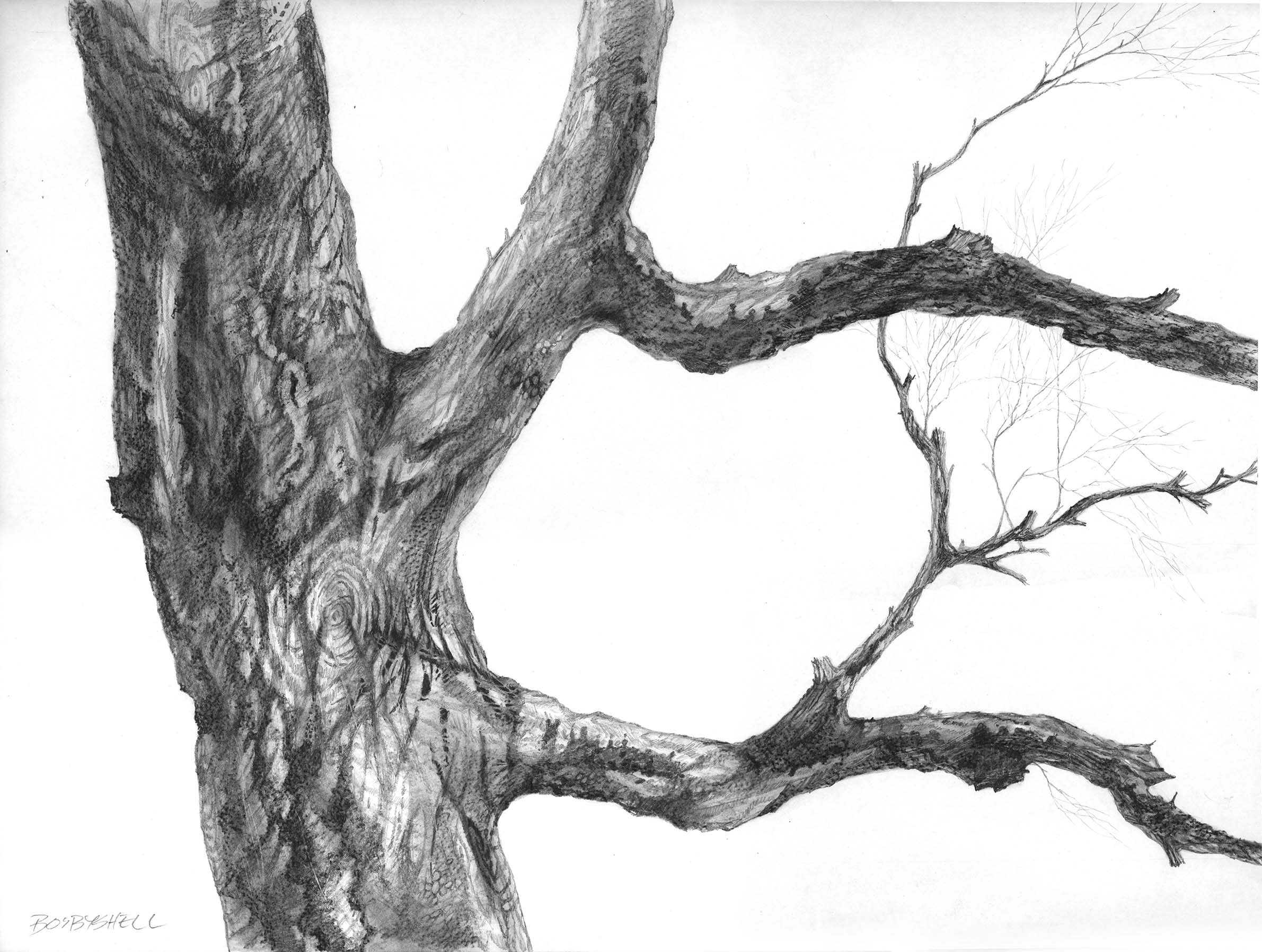 Climate Conversation 1 (print)