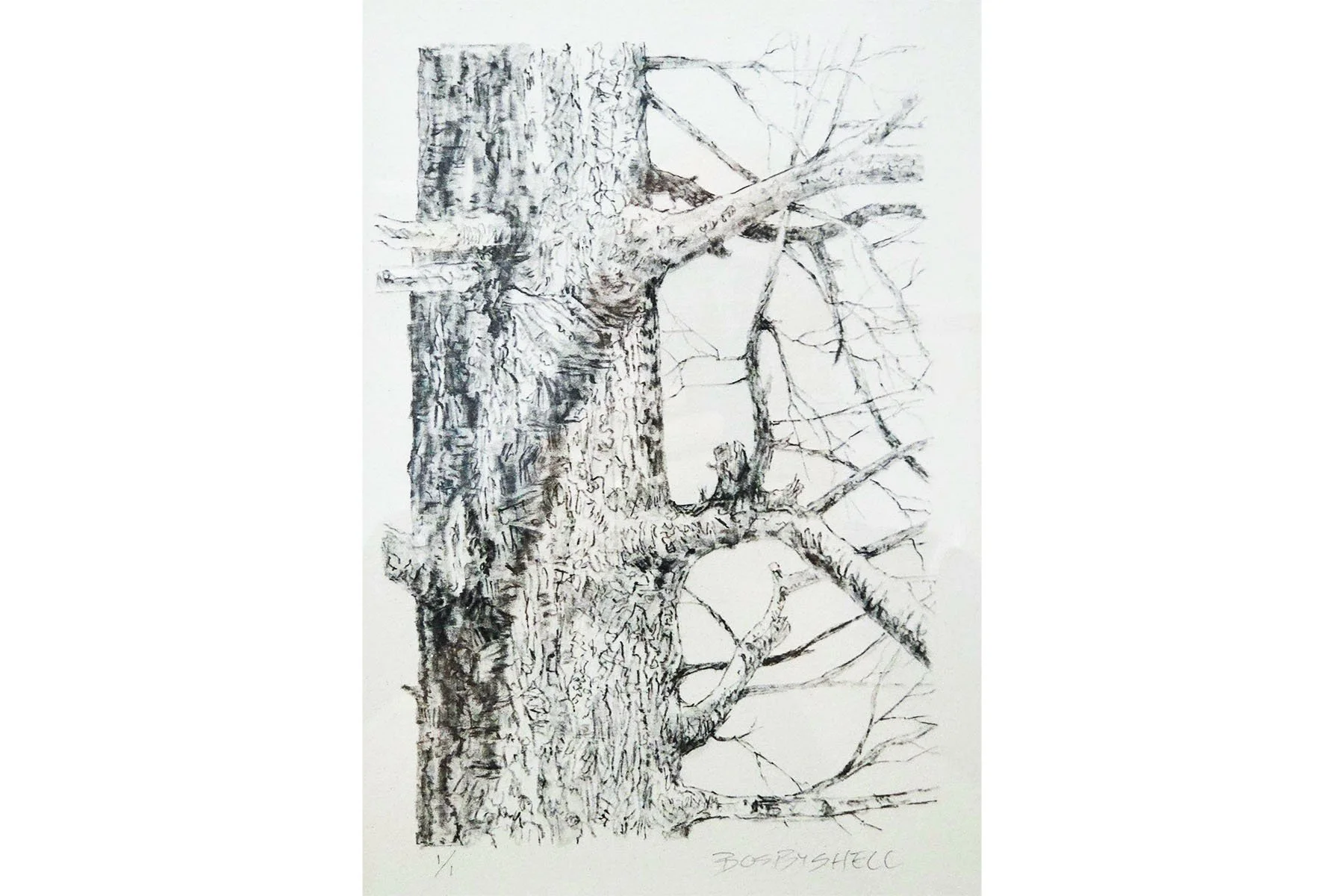 Hiking Sketch 57
