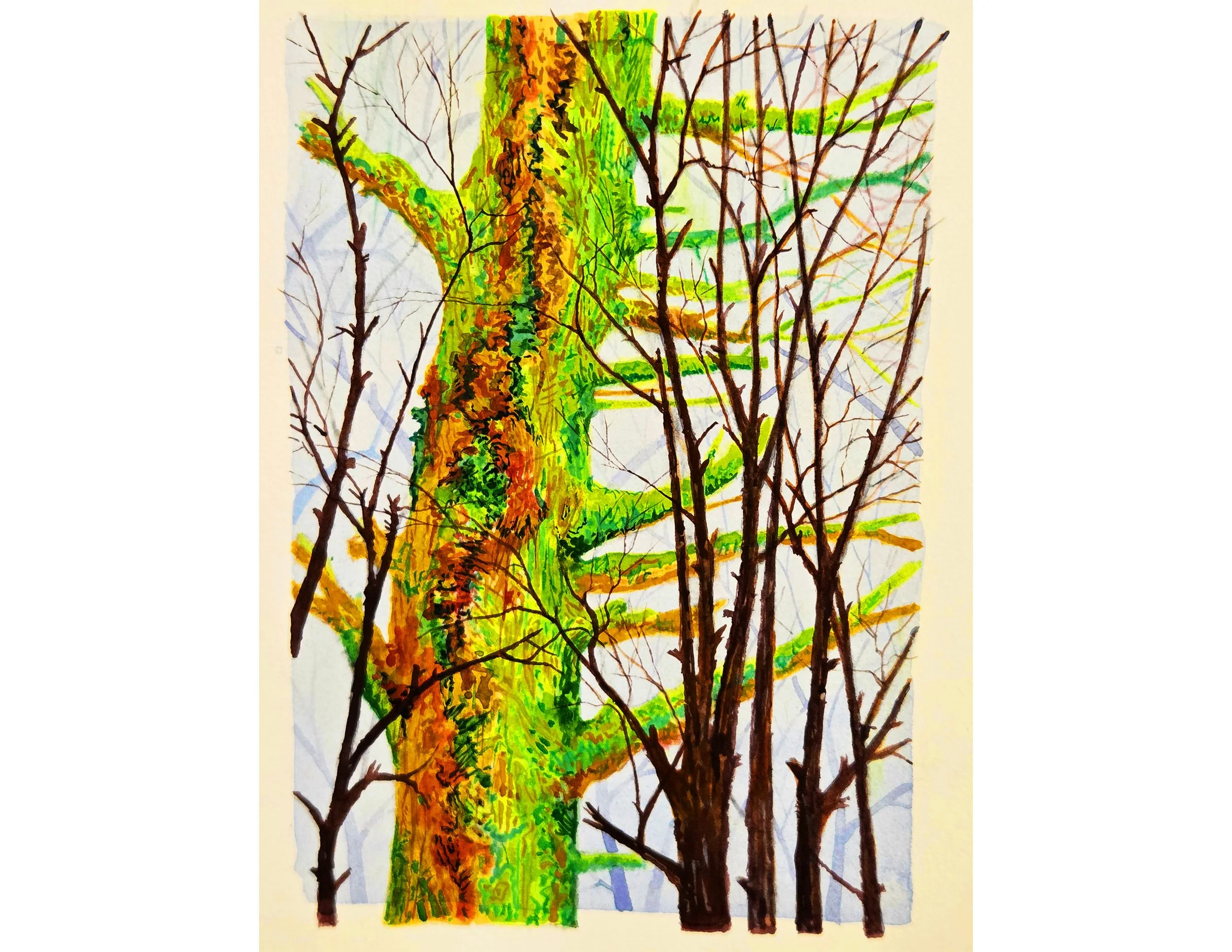 Hiking Sketch 56