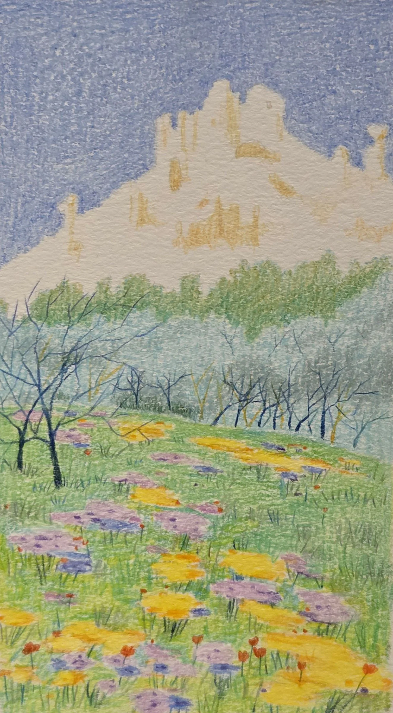 Provence White Cliffs.jpg