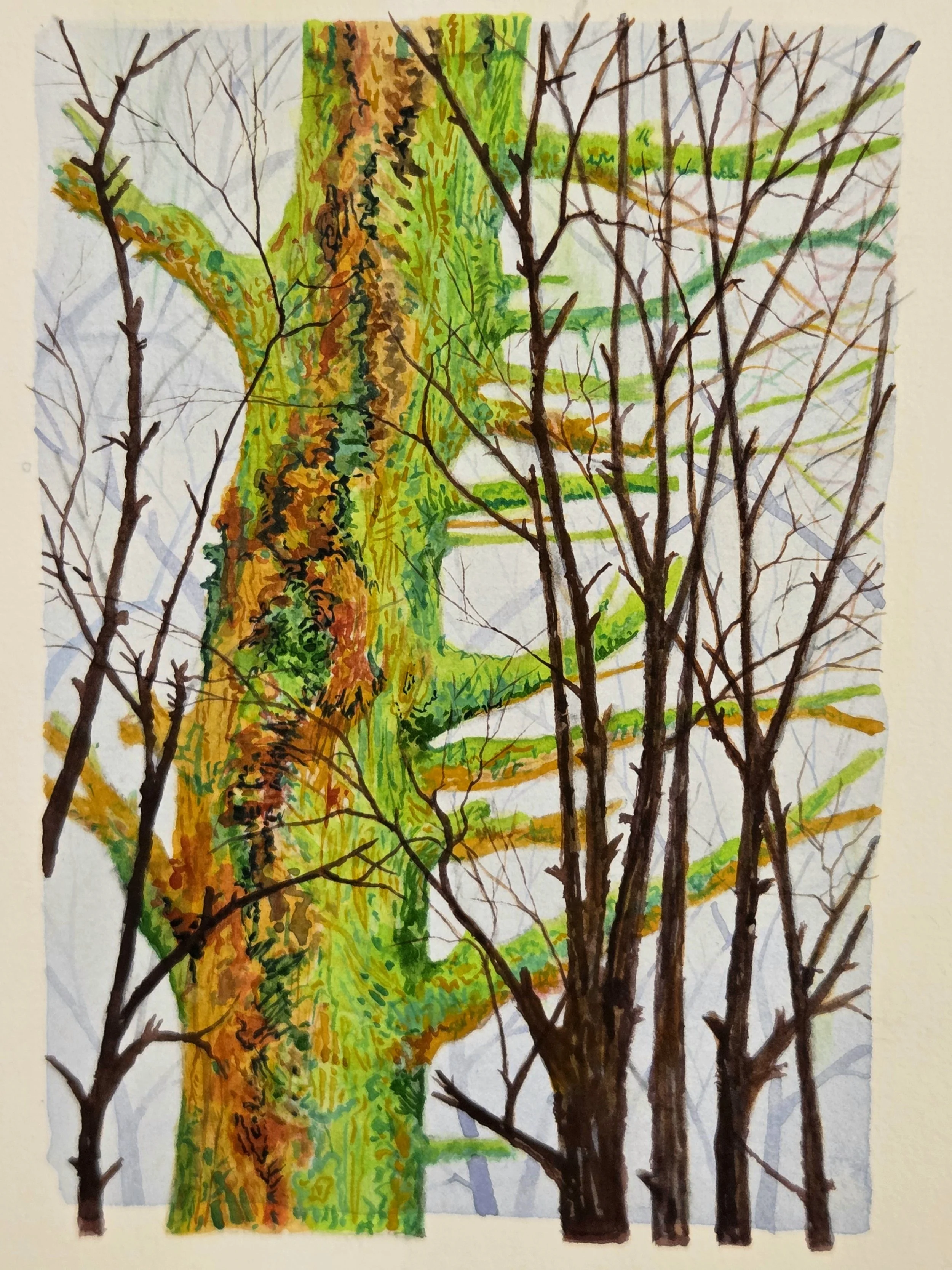 Hiking Sketch 56.jpg