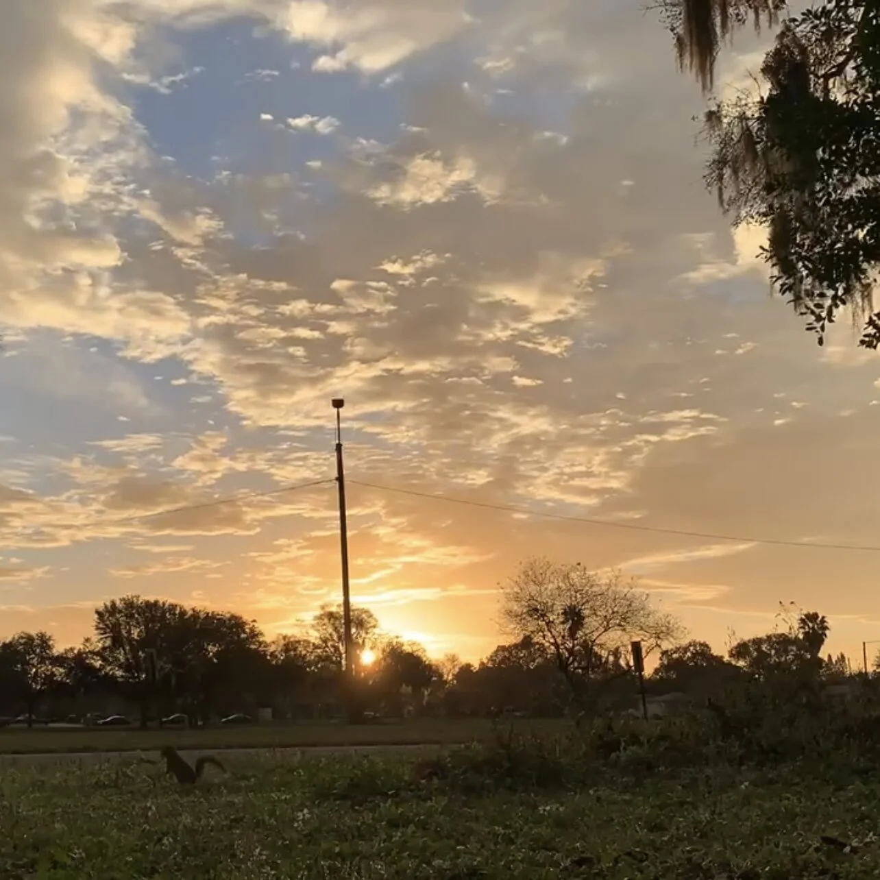 Cloudy Sunrise Shifts