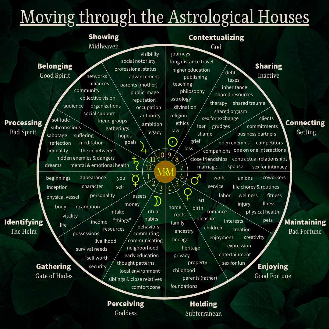 Moving Through the Astrological Houses