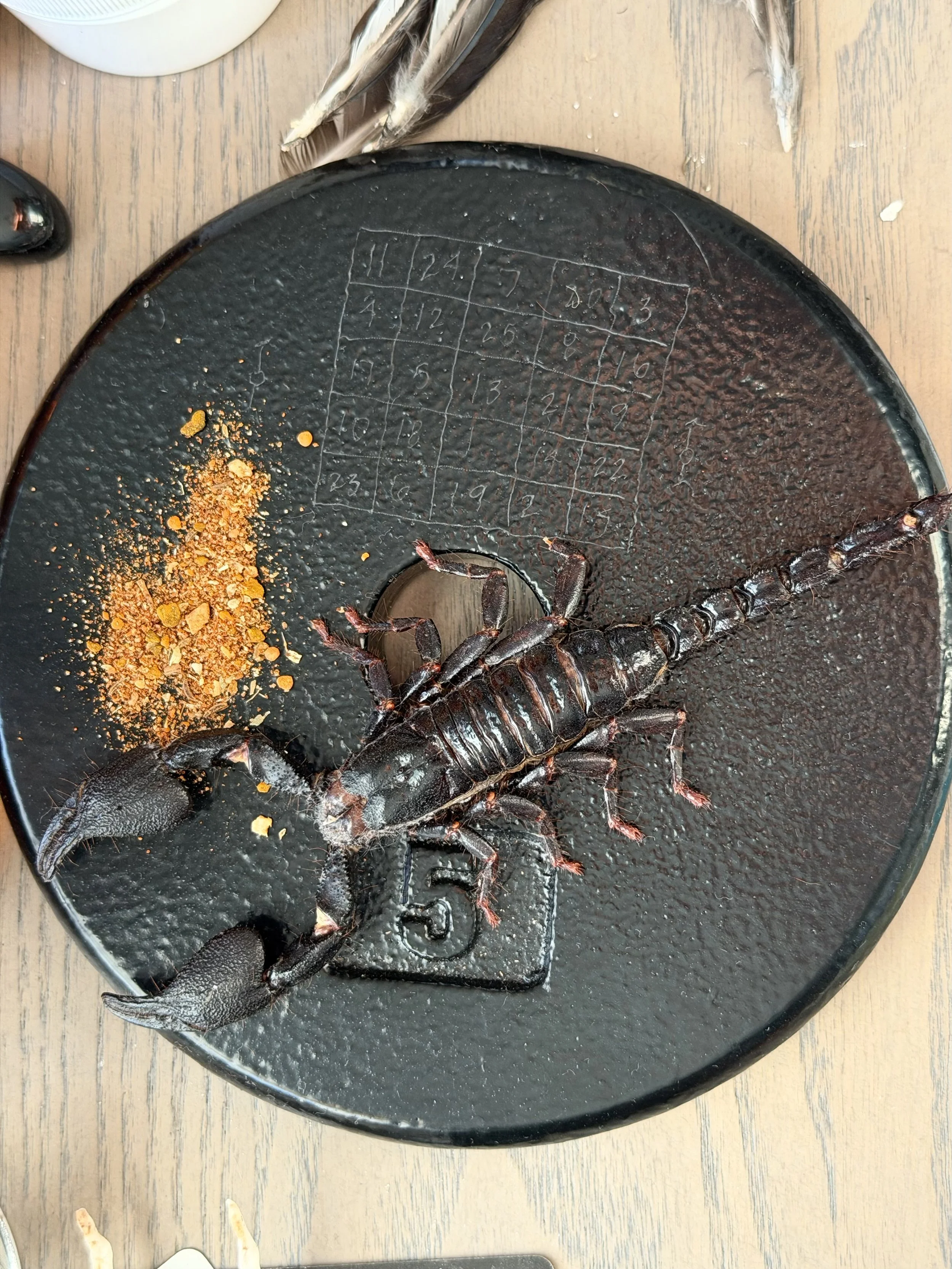 Iron Fortress: Mars in Scorpio III