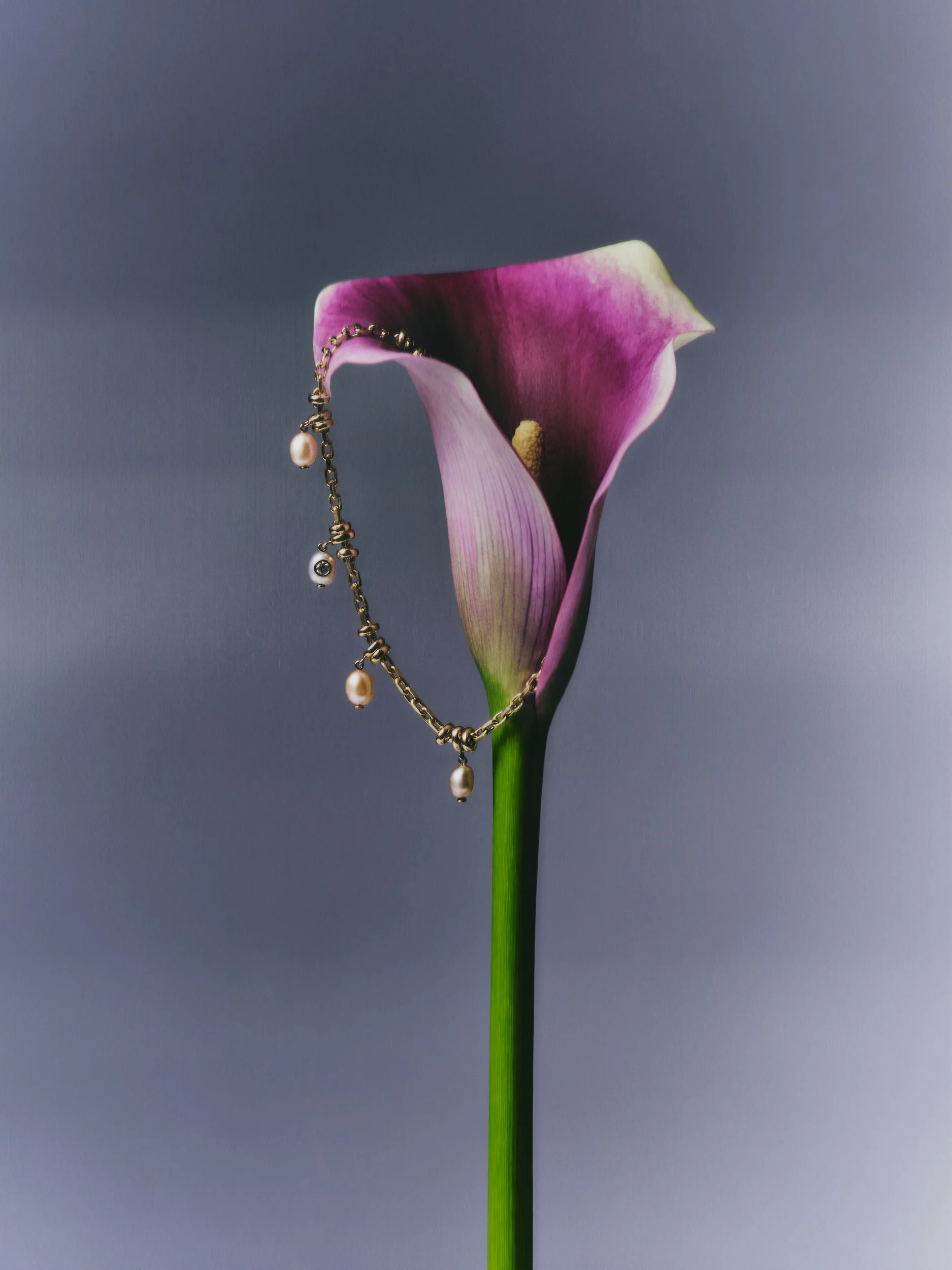 UO_Mother_Day_12082_Web.jpg
