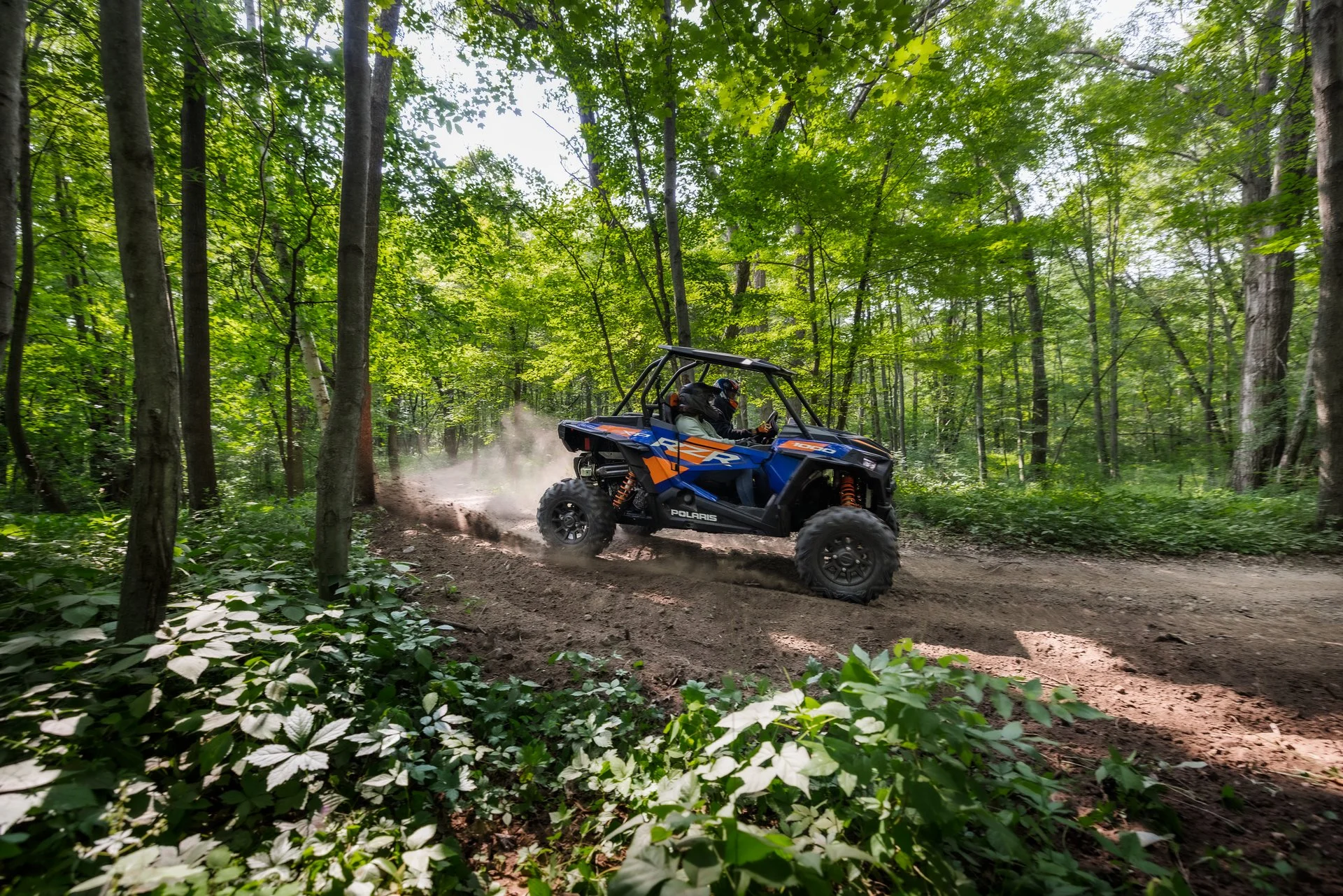 Services 3 — Polaris Colombia