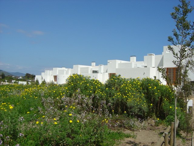 Condomio Cachagua — imagen 1