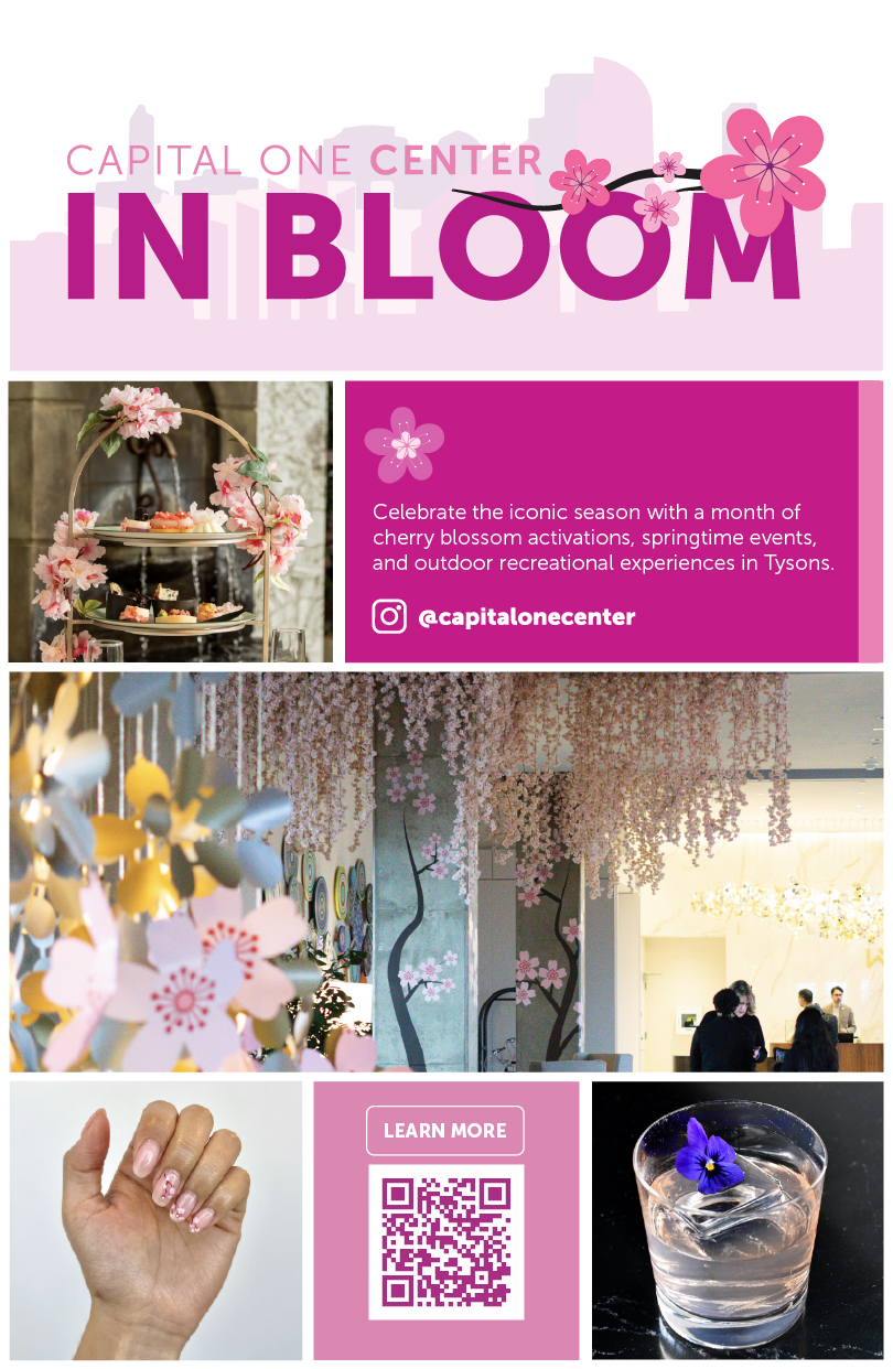 CapitalOne-CherryBlossom-Elevator Graphic.png