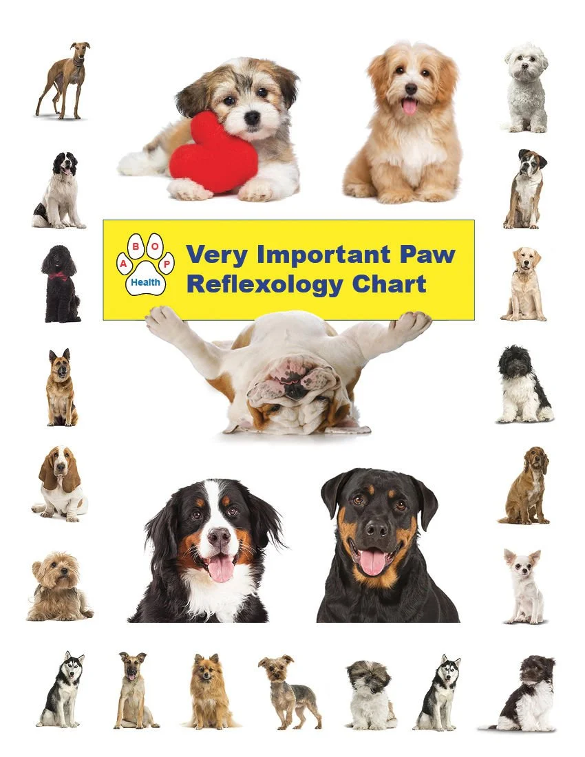 Cover of a book with various dog breeds surrounding a "Very Important Paw Reflexology Chart" sign with a yellow background.