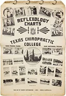 Vintage poster for Texas Chiropractic College featuring reflexology charts with black and white images of students and campus scenes, labeled "San Pedro Park, San Antonio, Texas."