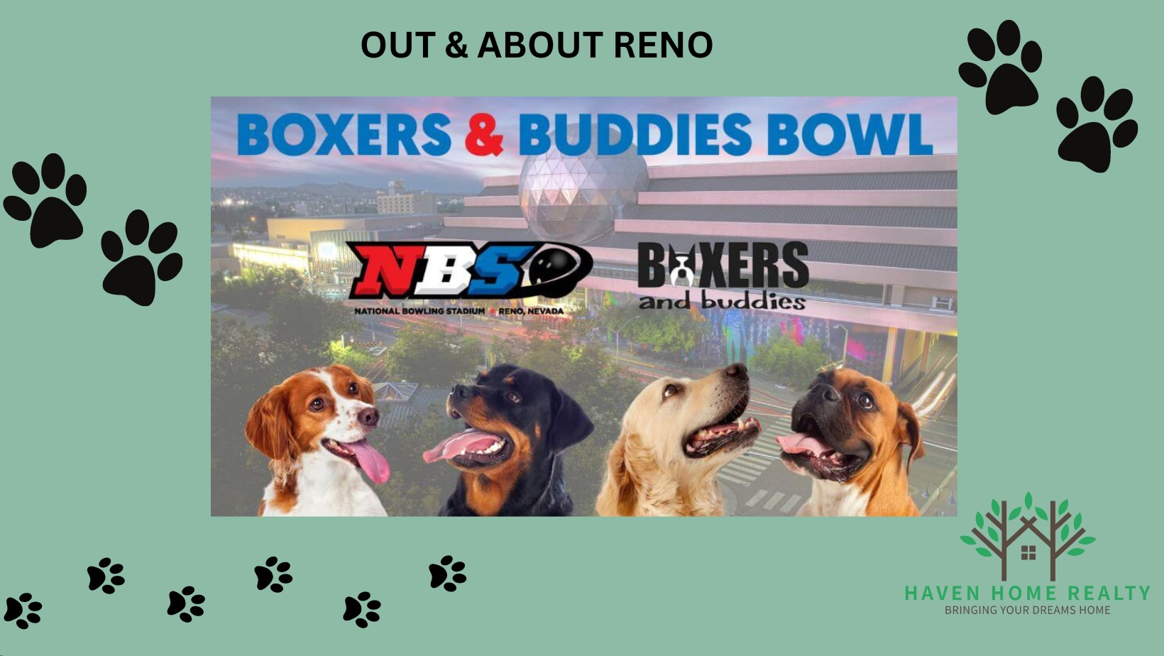 🐾OUT &amp; ABOUT RENO🐾