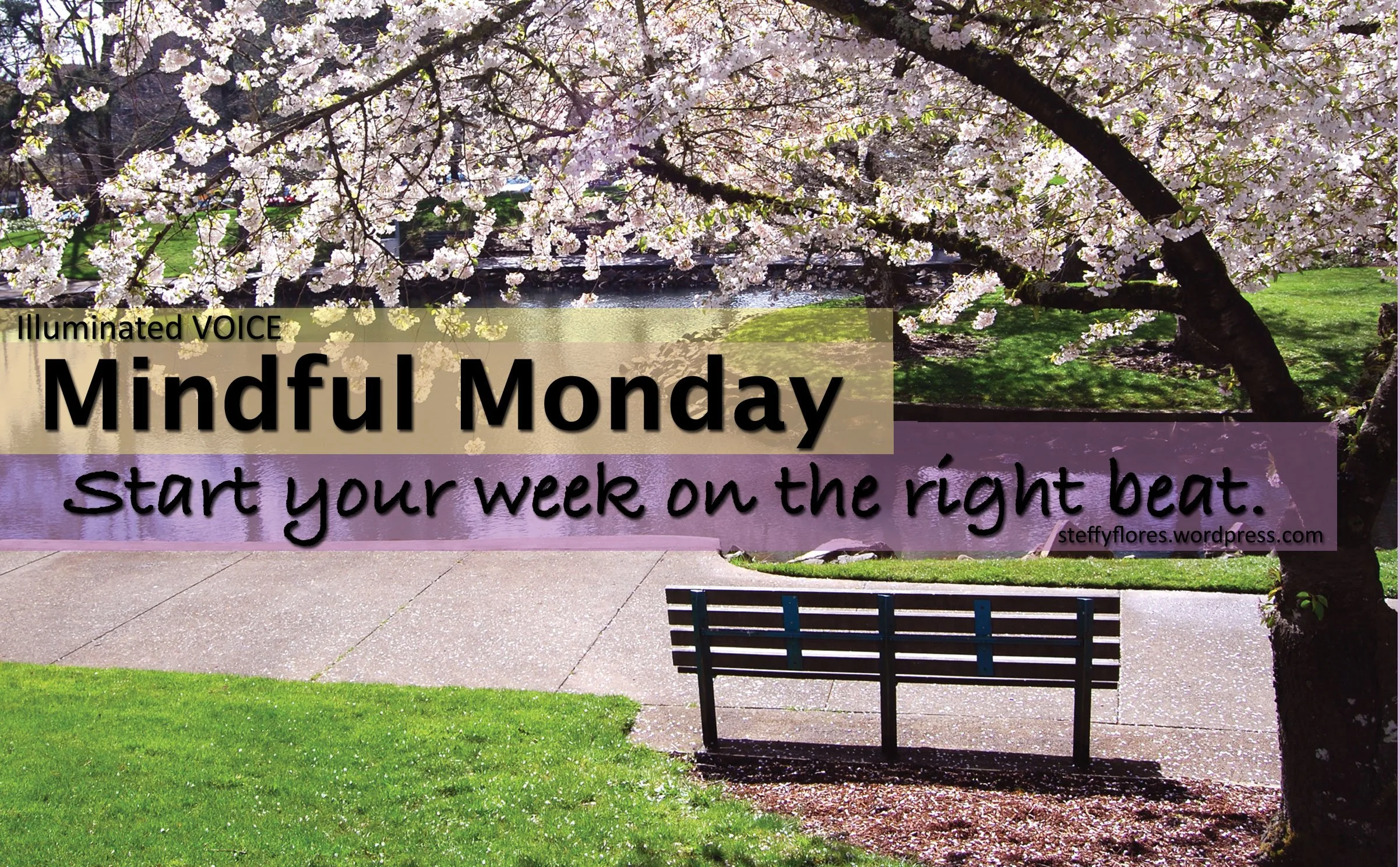 #happymonday