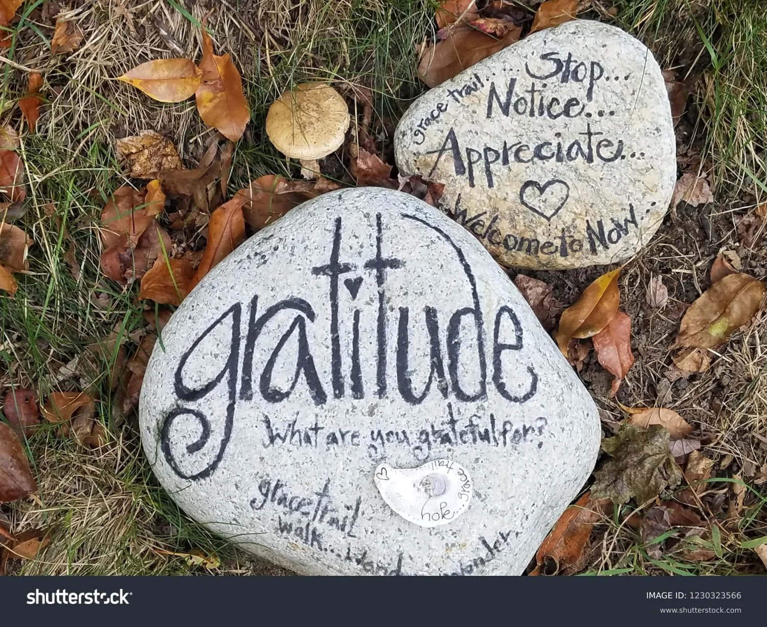 #gratefulmonday