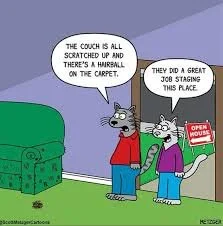 #hehe #happyfriday!