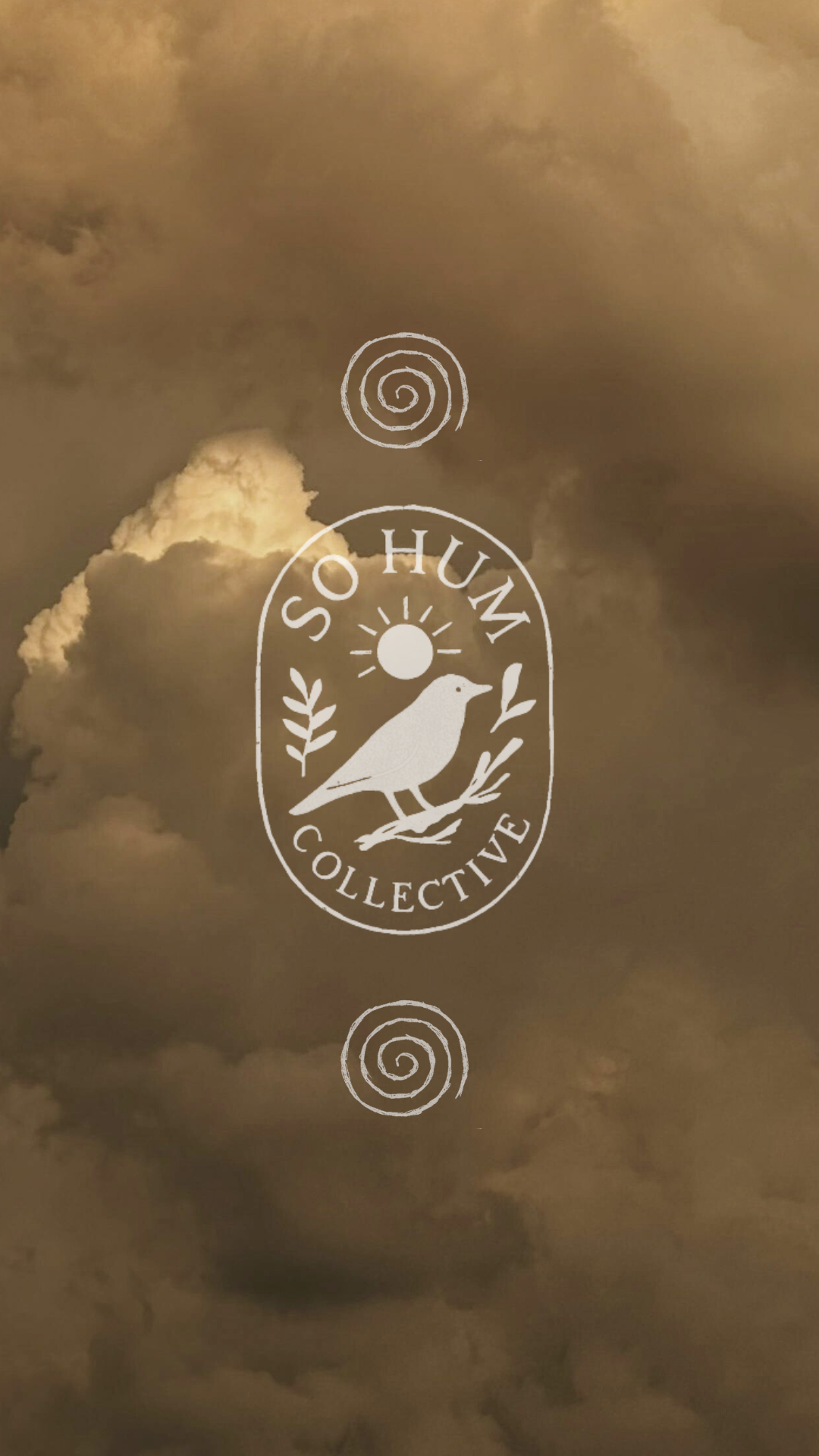 So Hum Collective brand identity designed by DoGoodBiz Studio — logo, color palette, and visual identity for an astrology and wellness practice