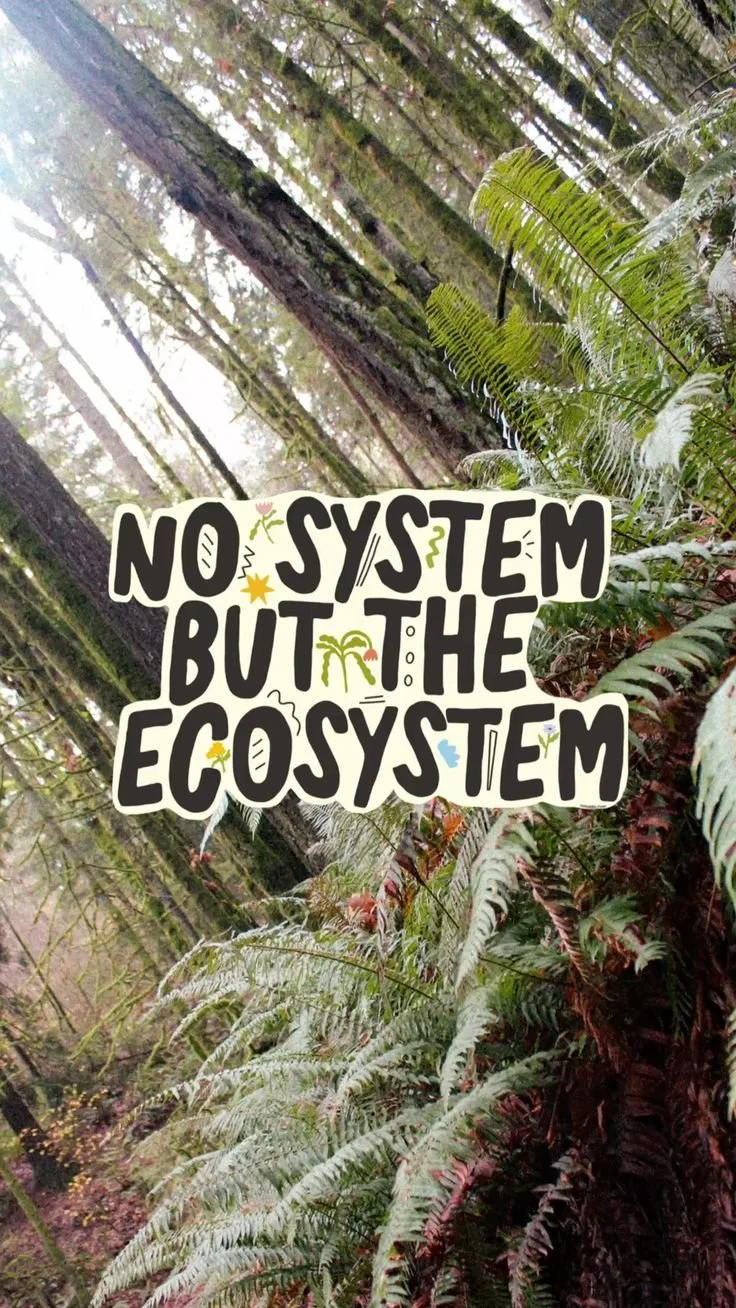 No system but the ecosystem eco art wallpaper.jpeg