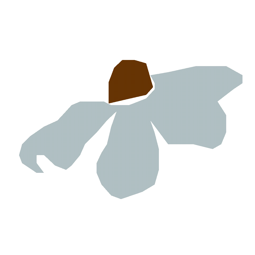 A low-polygon digital illustration of a bird with a brown head and light blue wings, set against a dark brown background.