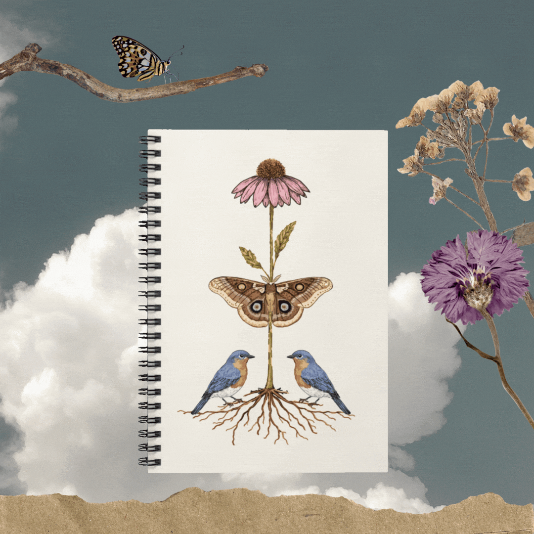 Reclaim your attention notebook