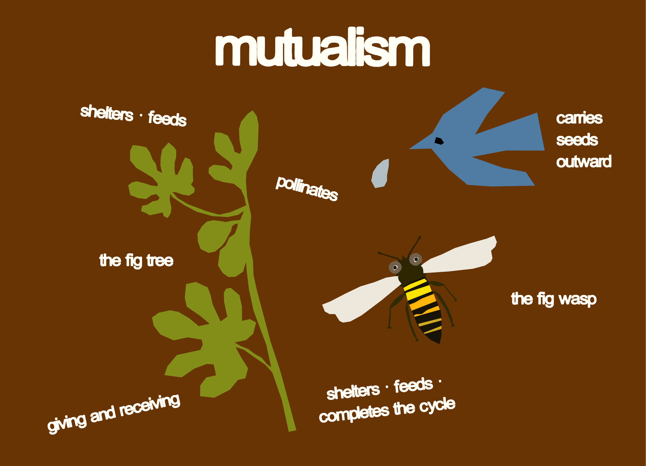 mutualism and ecological thinking for creative business