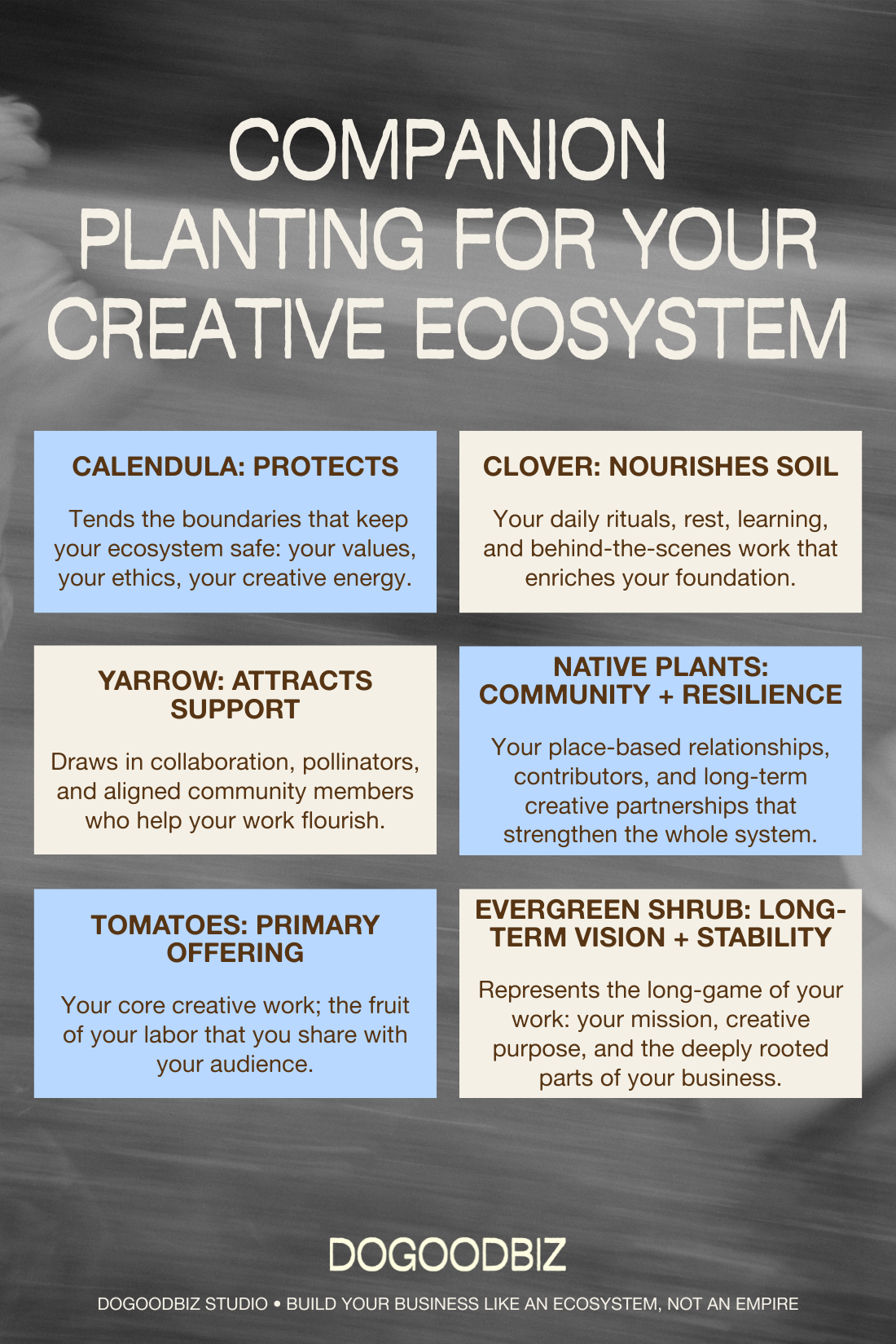 Companion Planting for Your Creative Ecosystem