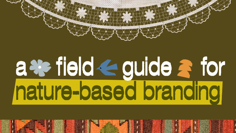 A field guide illustration of a bird's wing pattern next to a hand-drawn brand palette, representing nature-based branding's field mark method