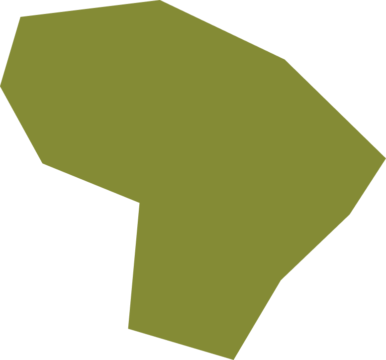 A green abstract shape with multiple angles and edges, resembling a stylized leaf or geometric figure.