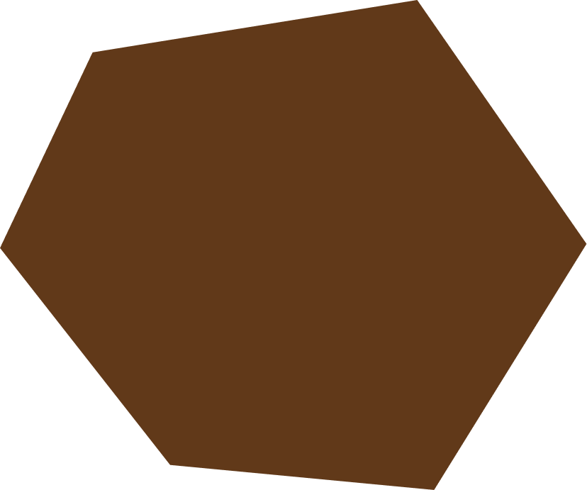 A large, brown, six-sided hexagon shape with solid fill.