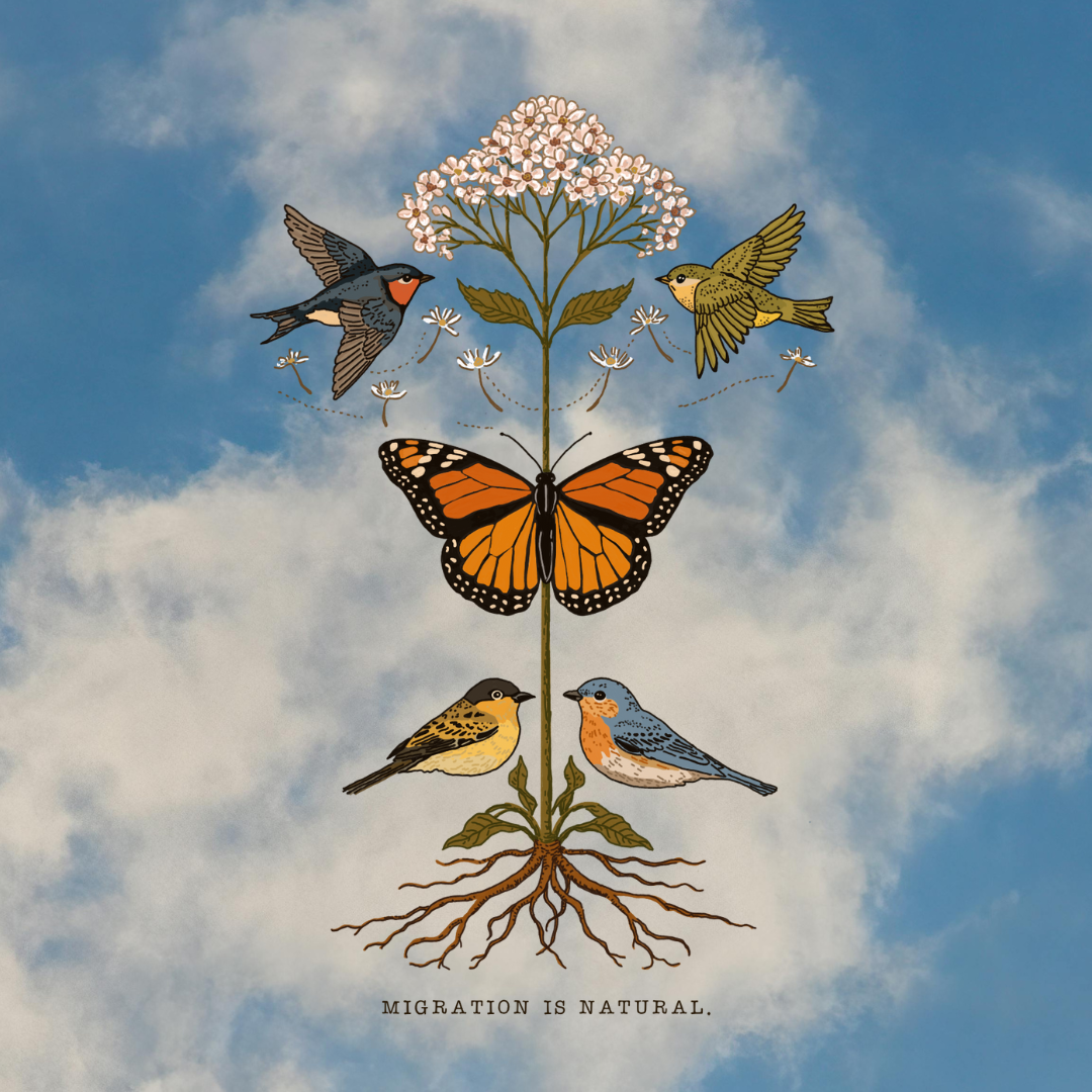 ecological art and creative tools