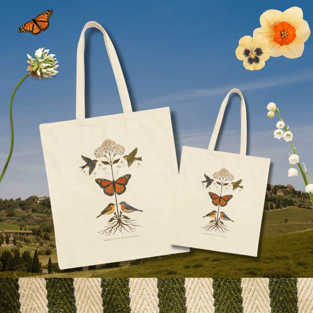 Botanical Butterfly Tote for creatives