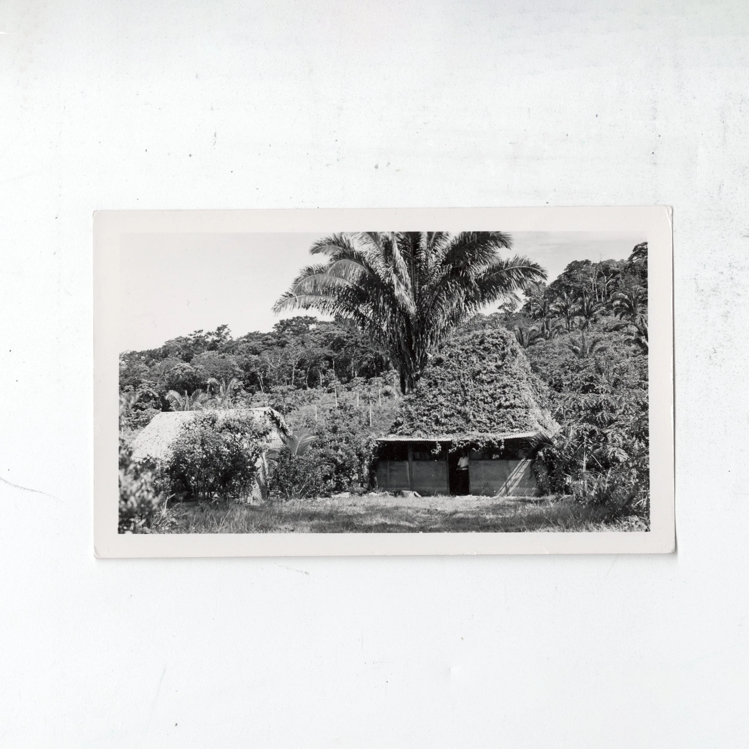 hawaii-hut-2026-01-24-00047.jpg