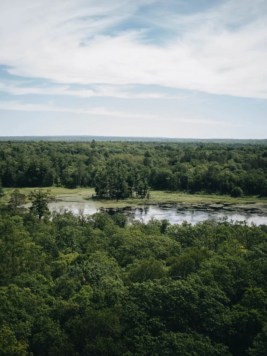 Itasca is Minnesota&rsquo;s oldest state park. It is less than a 10 minute drive from Northwoods A-Frame + Tiny Cabins to the north entrance of Itasca State Park. Some of our favorite things to do there are Wilderness Drive, get a treat at Mary Gibbs