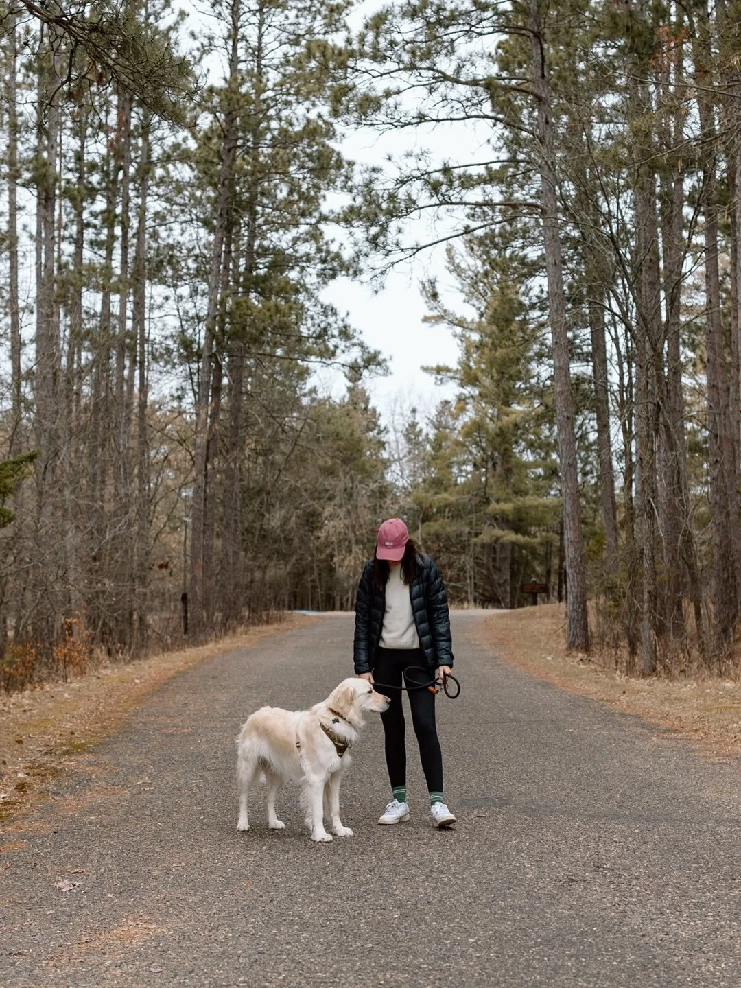 Spring in Itasca State Park is so refreshing. Stay at Northwoods and explore the park with less crowds! 

#mntravel #mncabin #itascastatepark