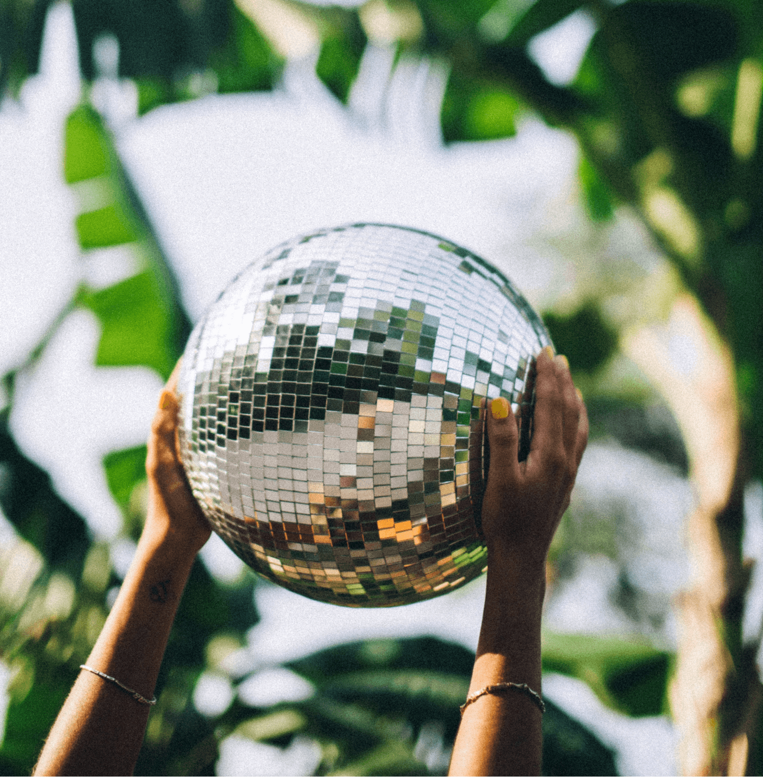 Blog Title Goes Here