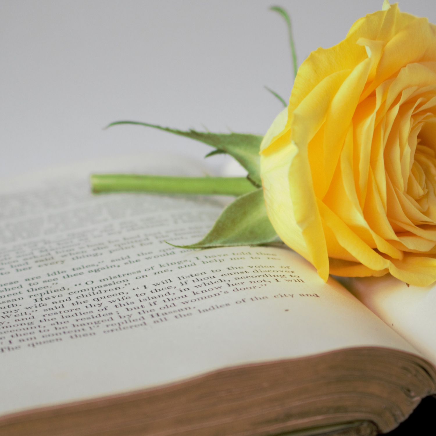 Blog Title Goes Here